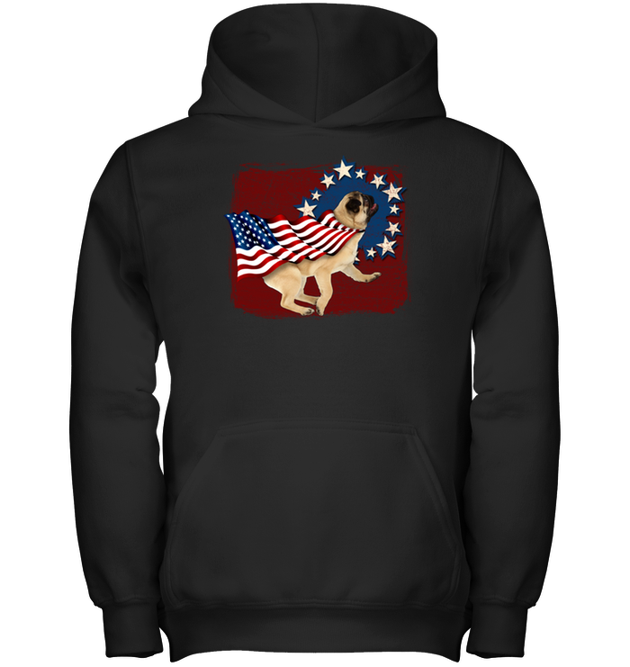 Independence Day Pug T Shirts