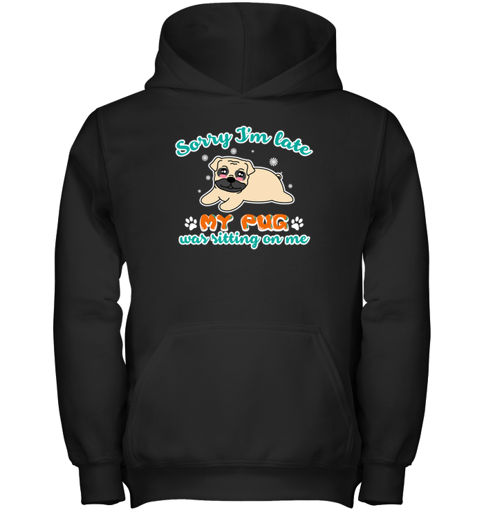 My Pug Was Sitting On Me T Shirts