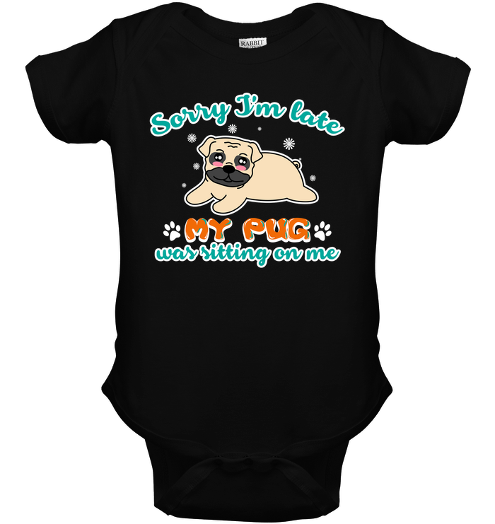 My Pug Was Sitting On Me T Shirts