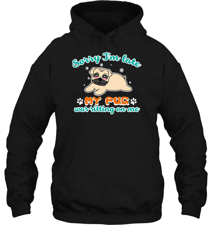 My Pug Was Sitting On Me T Shirts