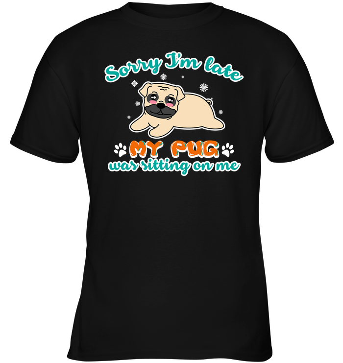 My Pug Was Sitting On Me T Shirts