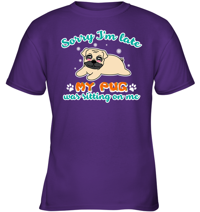 My Pug Was Sitting On Me T Shirts
