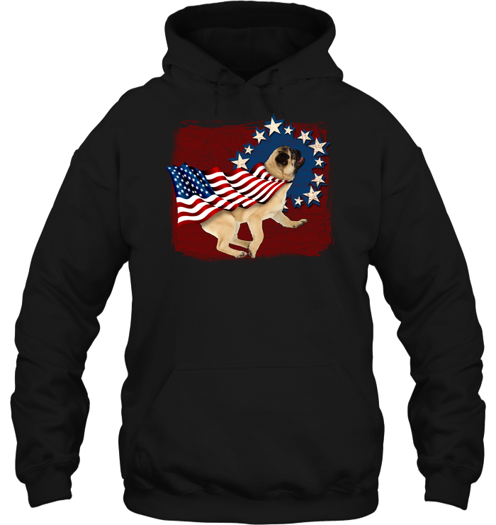 Independence Day Pug T Shirts