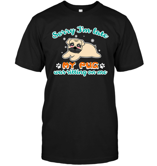 My Pug Was Sitting On Me T Shirts