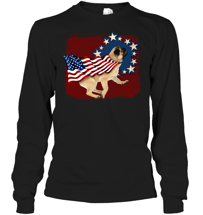 Independence Day Pug T Shirts